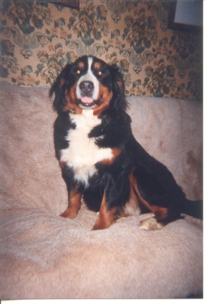 Publication : de Notre Dame des Neiges