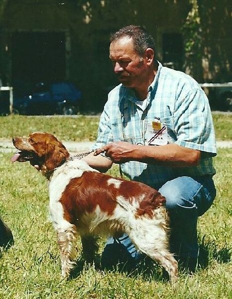 Publication : De sous les viviers Auteur : DESPRATS HENRI & IRENE