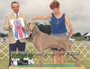 Publication : von silberweiss jäger Auteur : Susan K. Casper, United States