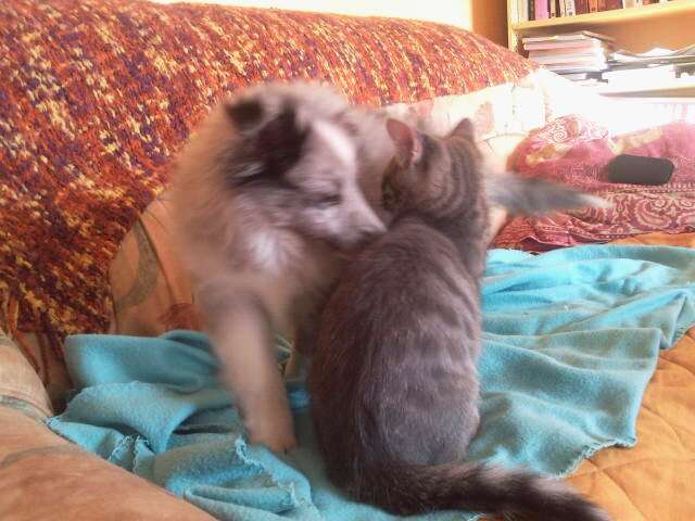 Publication : Des Plaines de Gaïa Auteur : Martin Barbara