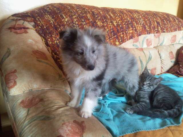 Publication : Des Plaines de Gaïa Auteur : Martin Barbara