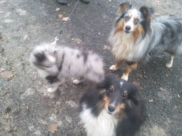 Publication : Des Plaines de Gaïa Auteur : Martin Barbara