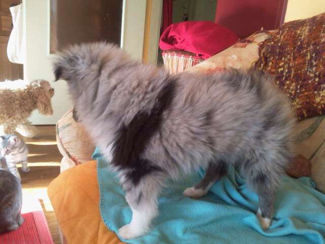 Publication : Des Plaines de Gaïa Auteur : Martin Barbara