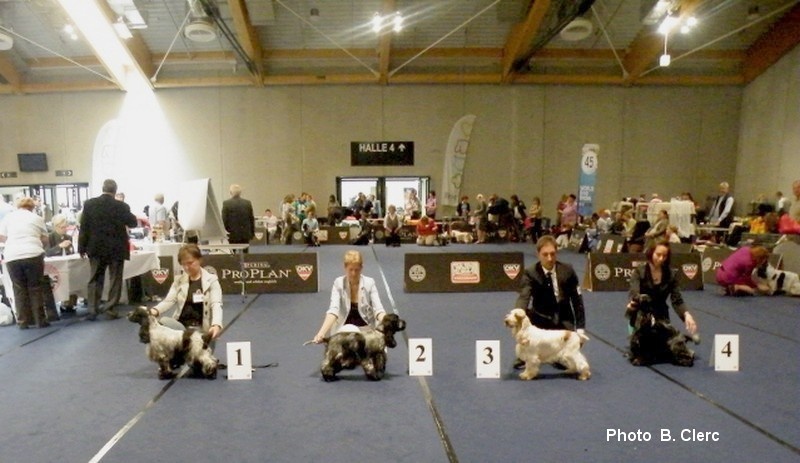 TR. CH. Flash for fantasy Des grandes edennes - 2ème Excellent Classe Travail - RéserveCACA