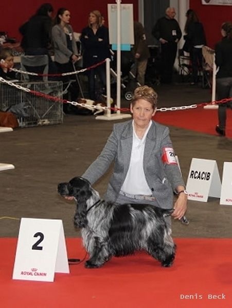 TR. CH. Flash for fantasy Des grandes edennes - 2ème Excellent Classe Champions