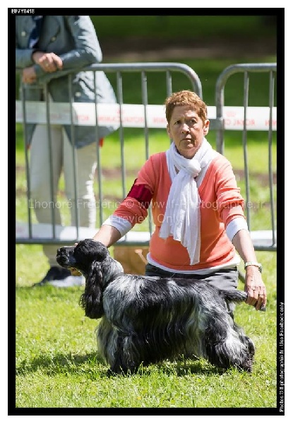 TR. CH. Flash for fantasy Des grandes edennes - 1er Excellent Classe Champion - Meilleur Mâle - BOS ( Meilleur de sexe opposé )