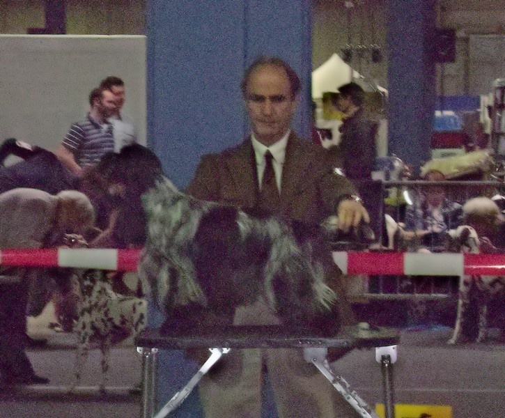 TR. CH. Flash for fantasy Des grandes edennes - 1er Classe Travail - CACL