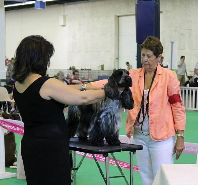 TR. CH. Flash for fantasy Des grandes edennes - 1er Excellent en Classe Travail