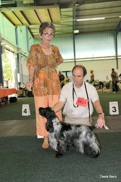 TR. CH. Full moon hazel Des grandes edennes - 1ère Excellent en Classe Champion - VDH - CAC