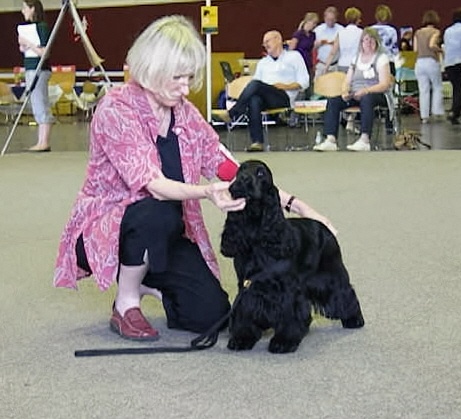 TR. CH. Ebony cherie noire Des grandes edennes - 1er Excellent CACL - Classe Travail
