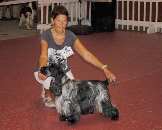 TR. CH. Flash for fantasy Des grandes edennes - 1er Excellent Classe Champion