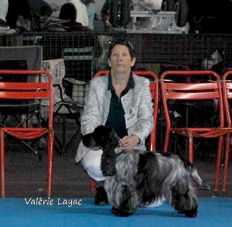 TR. CH. Flash for fantasy Des grandes edennes - 1er Excellent Classe Travail