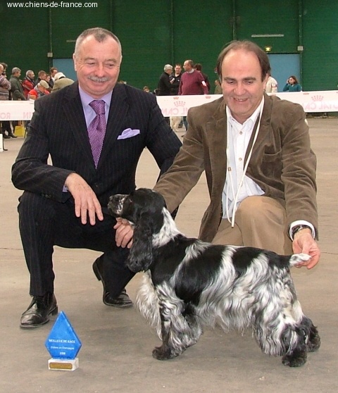 TR. CH. Violet little fantasy Des grandes edennes - 1°exc cl.ouverte -CACS-CACIB_ Meilleure de race_ 2°du 8°groupe