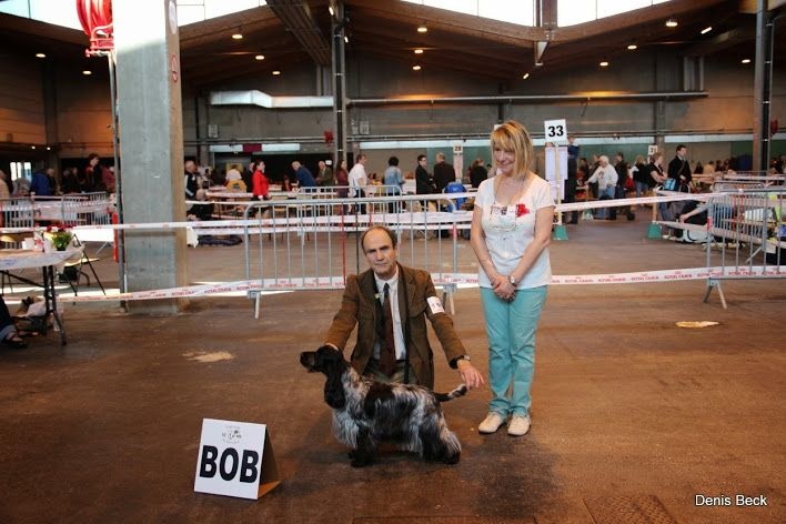 TR. CH. Full moon hazel Des grandes edennes - 1ère Excellent Classe Champion - CACIB - BOB Meilleure de Race