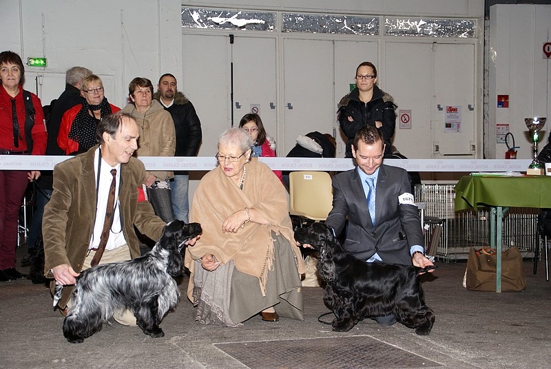 TR. CH. Full moon hazel Des grandes edennes - 1ère Excellent Classe Champion - CACIB - Meilleure Femelle ( BOS)