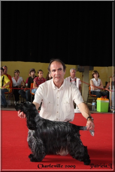 TR. CH. Chamrock bones Des grandes edennes - 1er Excellent CACS-Classe Travail - Meilleur de Race