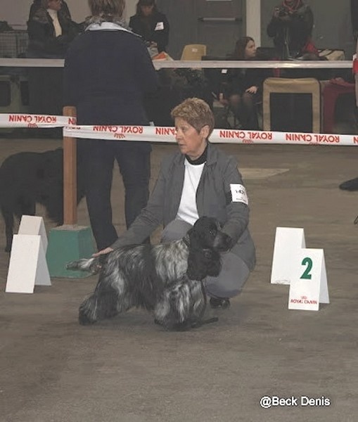 TR. CH. Flash for fantasy Des grandes edennes - 1er Excellent Classe Travail - RCACS