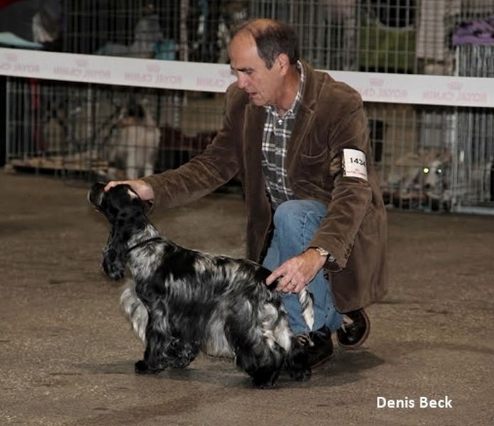 TR. CH. Full moon hazel Des grandes edennes - 1ère Excellent Classe Travail