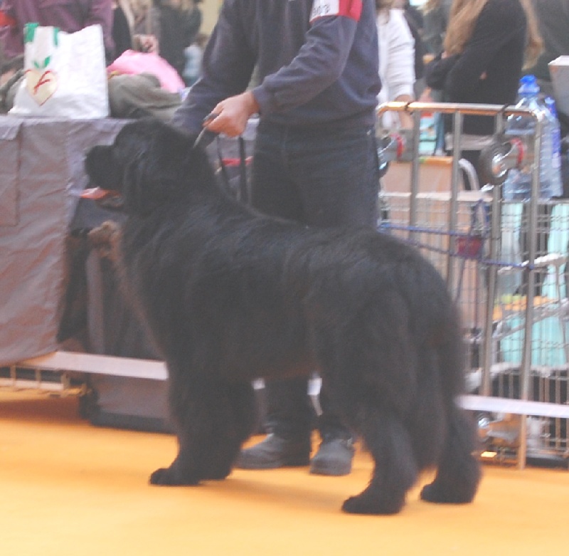 Auckland De la baie bonavista - 3éme excellent