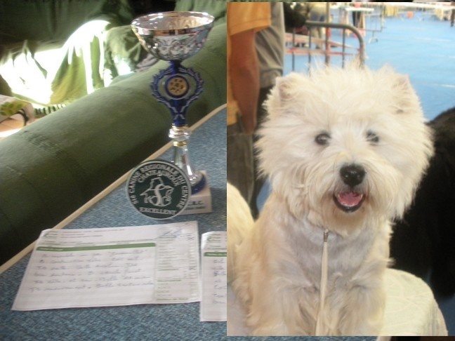 Allthunder Epice hurricane dancer - 1ere Exellent