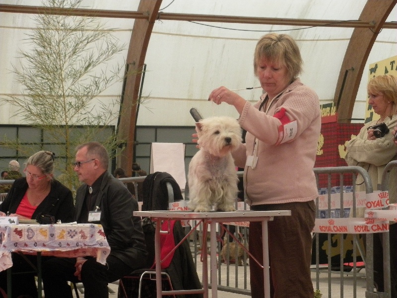 Allthunder Epice hurricane dancer - 5ème Très bon - CIF