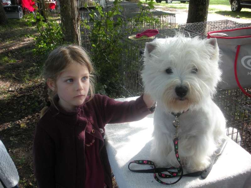 Allthunder Epice hurricane dancer - 1ère excellent - CIF