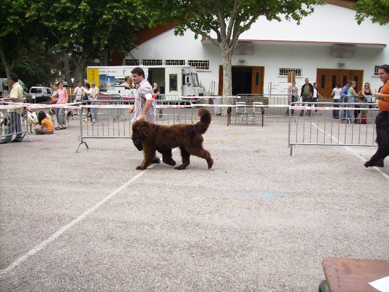 Publication : des Perles de Nacres