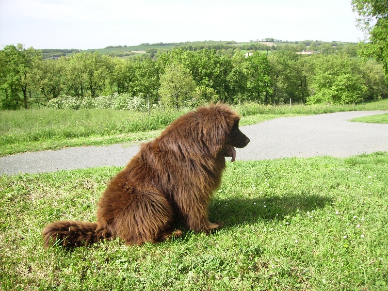 Publication : des Perles de Nacres