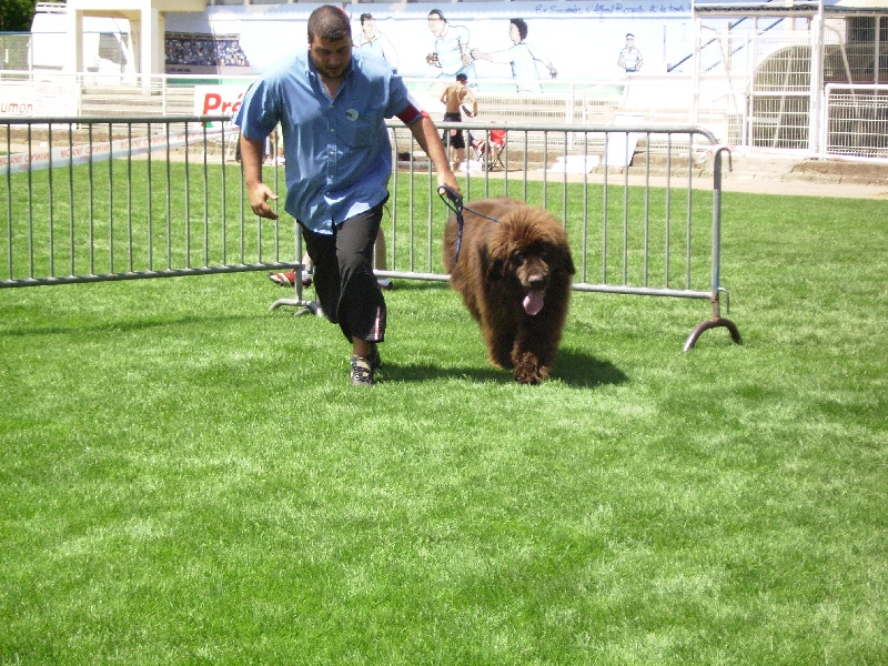 Publication : des Perles de Nacres