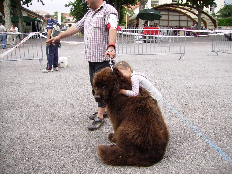 Publication : des Perles de Nacres