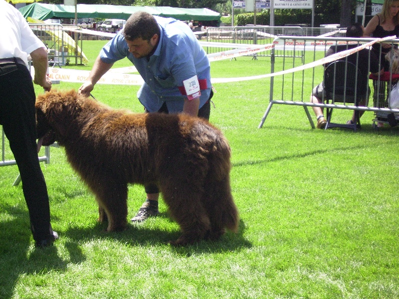 Publication : des Perles de Nacres