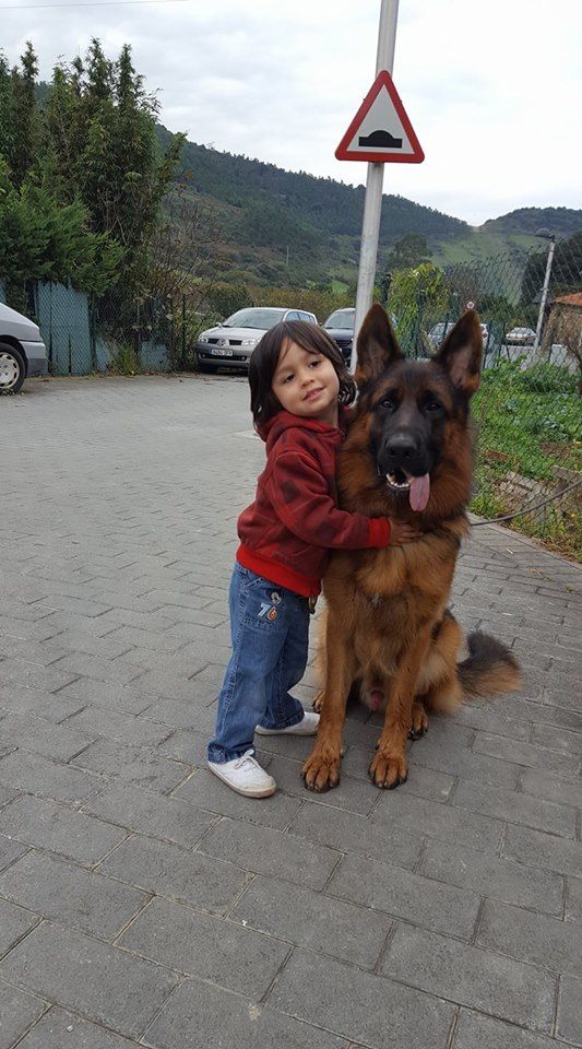 Publication : des Hauts de Fontaine