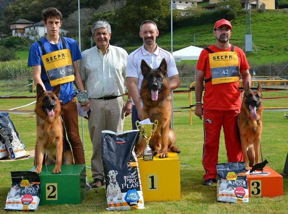 Publication : des Hauts de Fontaine