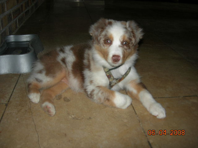 Publication : de la vallée rocheuse Auteur : dolores lavielle