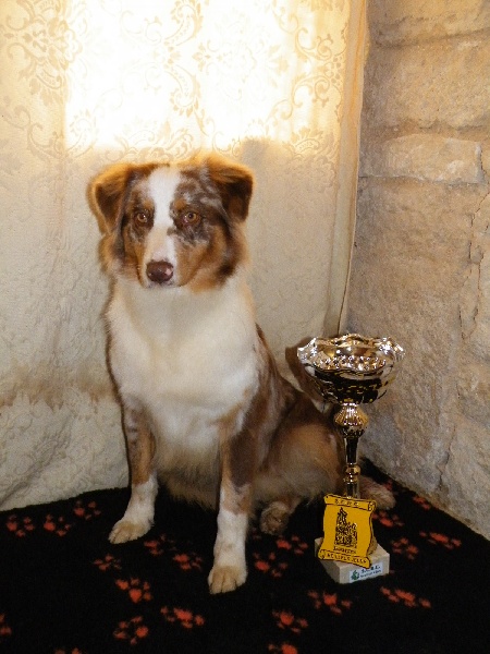 Publication : de la vallée rocheuse Auteur : dolores lavielle