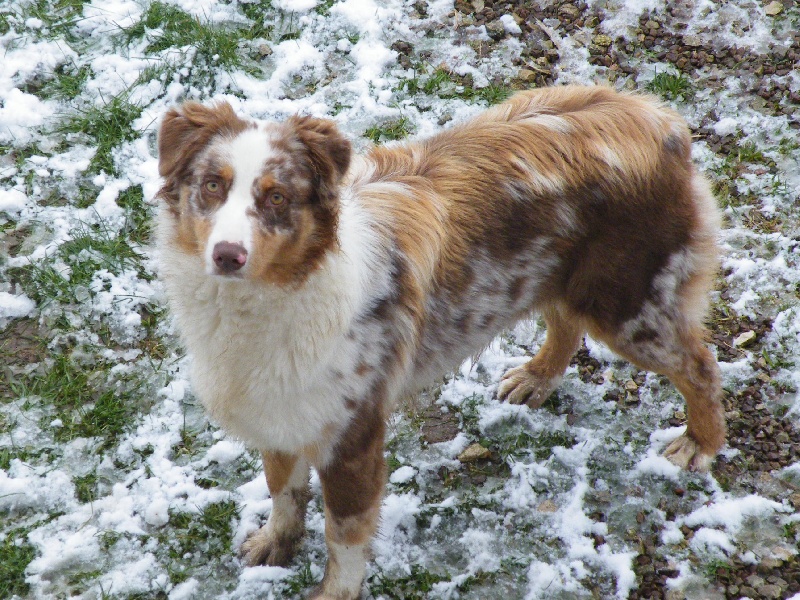 Publication : de la vallée rocheuse Auteur : dolores lavielle