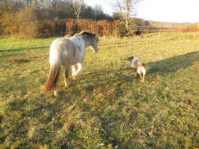 Publication : de la vallée rocheuse Auteur : dolores lavielle