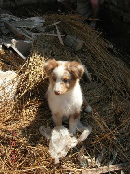 Publication : de la vallée rocheuse Auteur : dolores lavielle