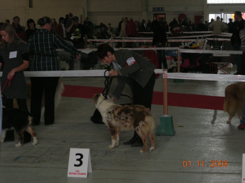 Publication : de la vallée rocheuse Auteur : dolores lavielle