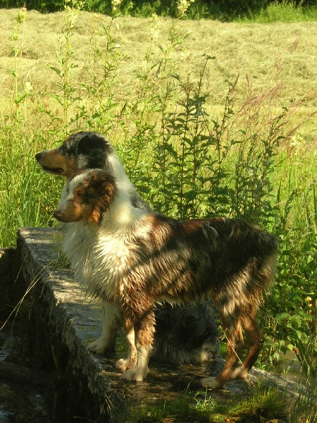 Publication : de la vallée rocheuse Auteur : dolores lavielle