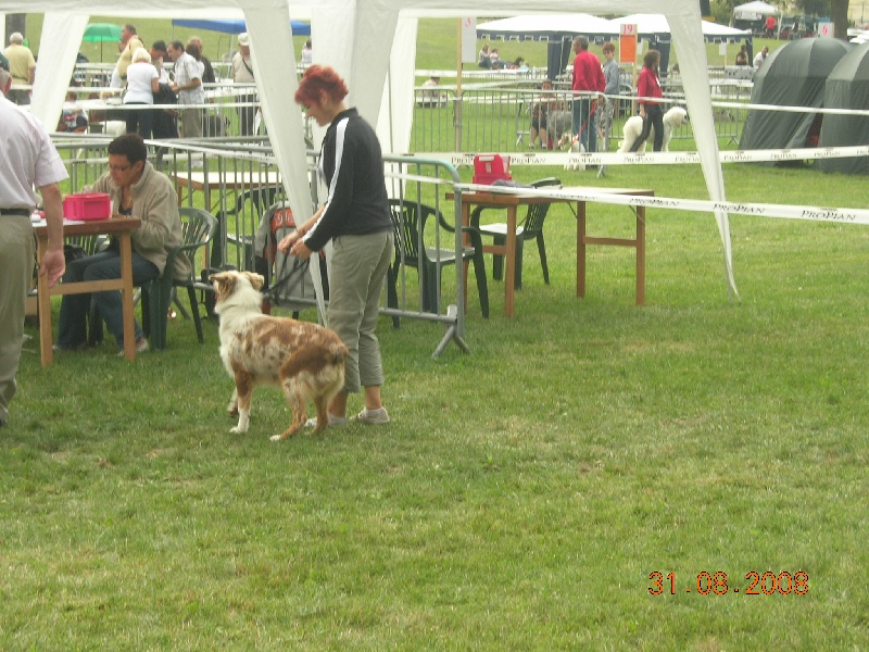 Publication : de la vallée rocheuse Auteur : dolores lavielle