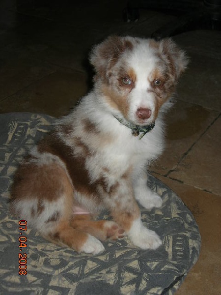 Publication : de la vallée rocheuse Auteur : dolores lavielle