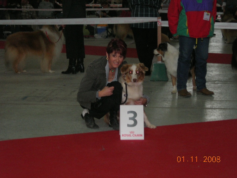 Dune Du rivage des mille etangs - Trés prometteur 3eme