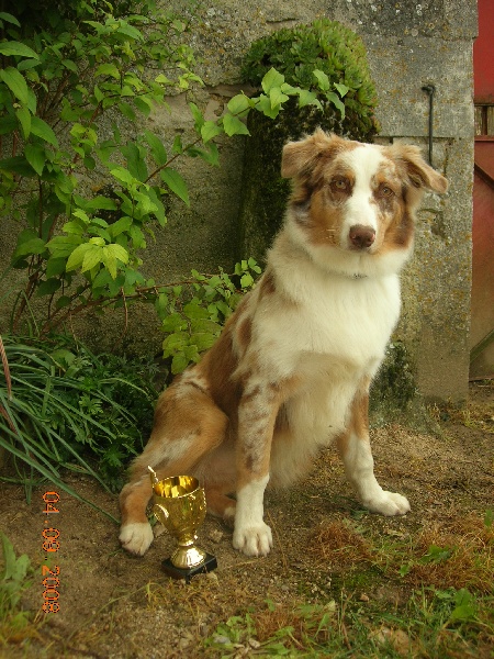 Dune Du rivage des mille etangs - Tres prometteur 1ere