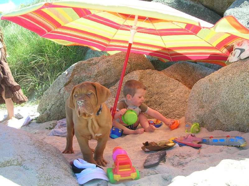 Publication : de la forêt des Korrigans