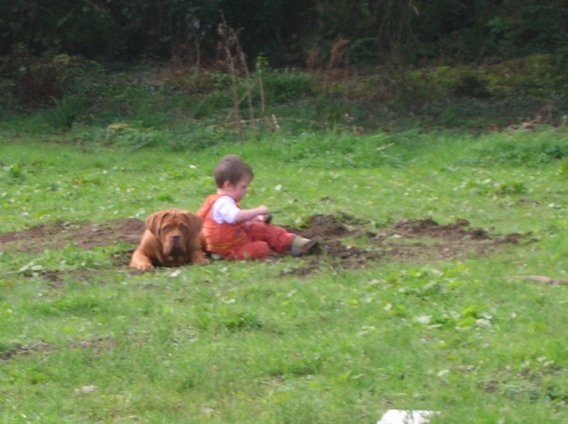 Publication : de la forêt des Korrigans