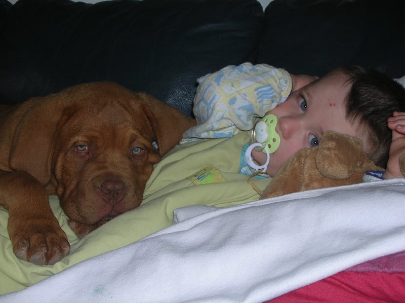 Publication : de la forêt des Korrigans