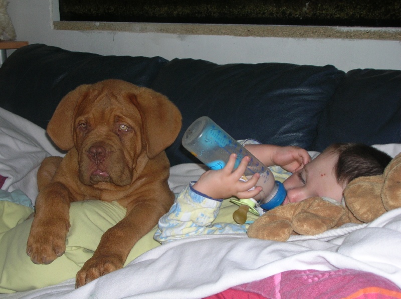 Publication : de la forêt des Korrigans