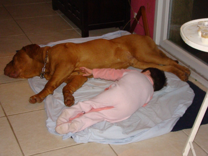 Publication : de la forêt des Korrigans