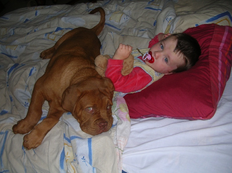 Publication : de la forêt des Korrigans